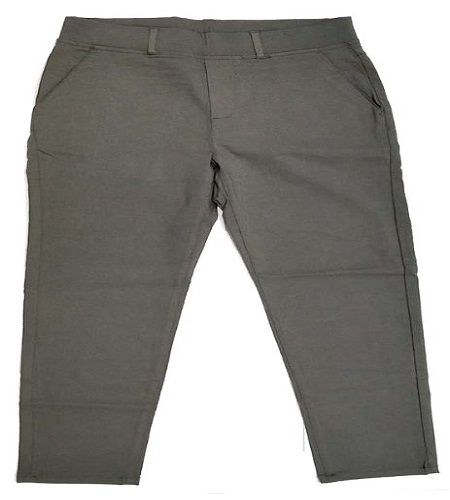 Ladies Pant